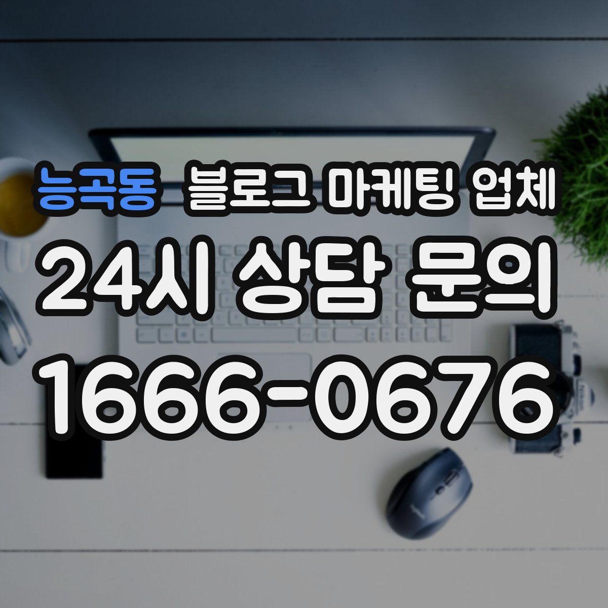 능곡동 블로그 마케팅 업체