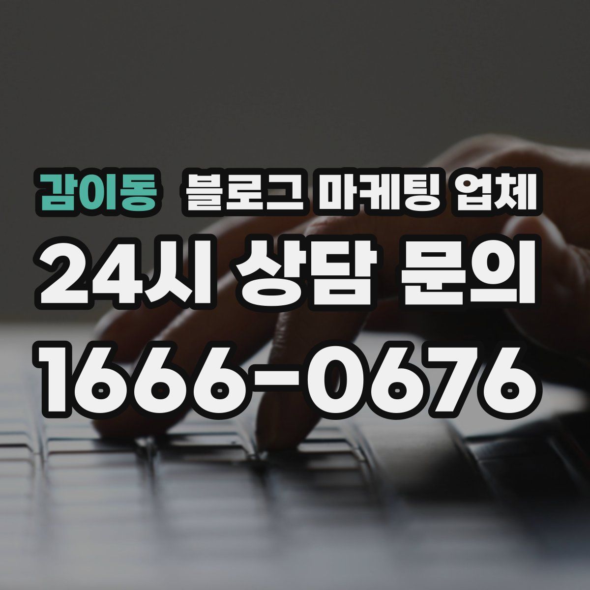 감이동 블로그 마케팅 업체