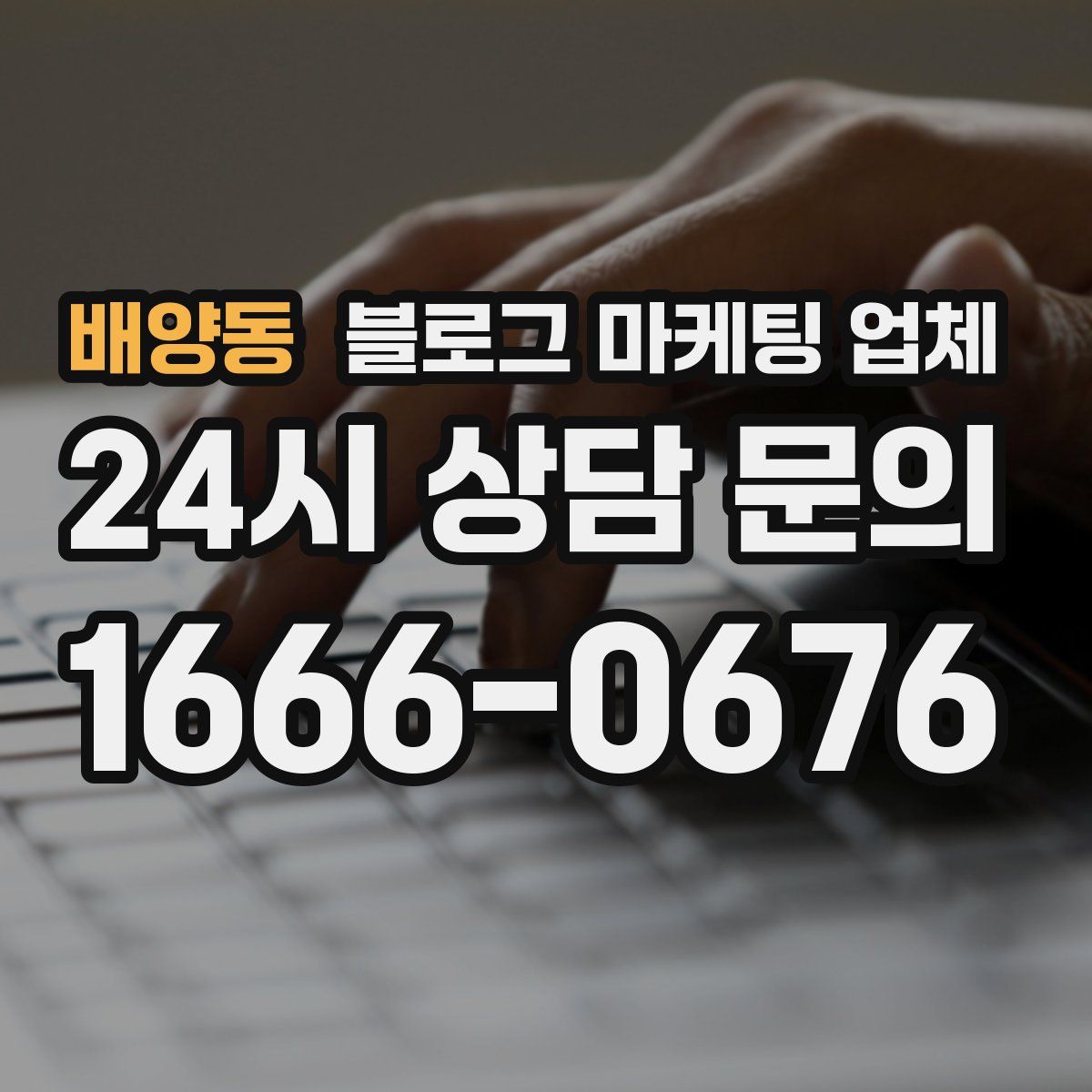 배양동 블로그 마케팅 업체