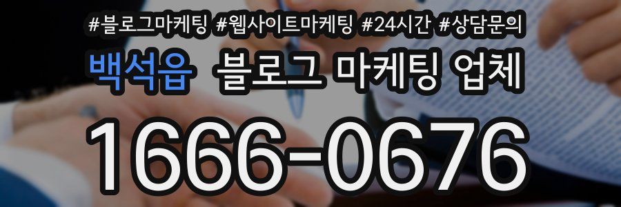 백석읍 블로그 마케팅 업체