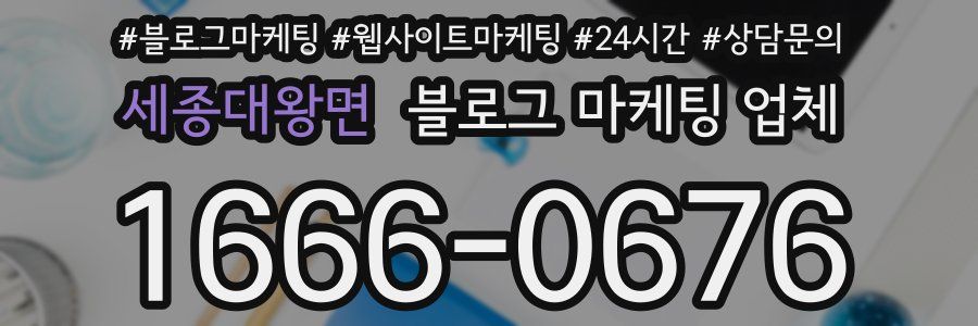 세종대왕면 블로그 마케팅 업체