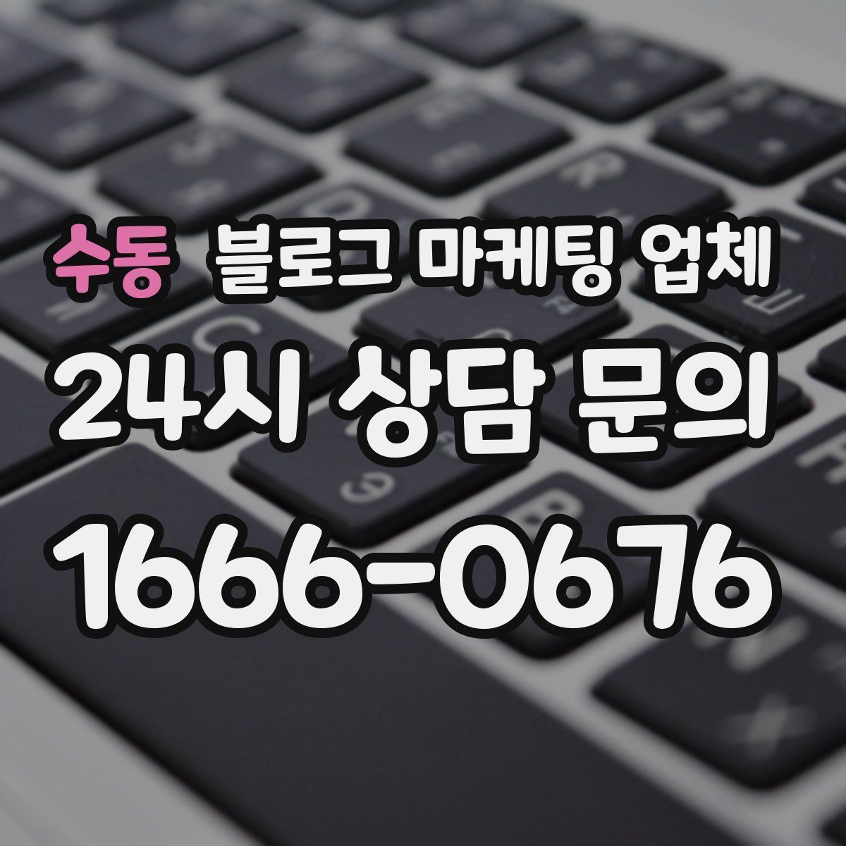 수동 블로그 마케팅 업체