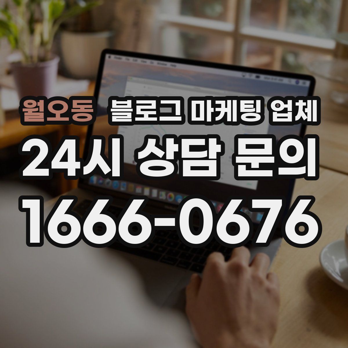 월오동 블로그 마케팅 업체