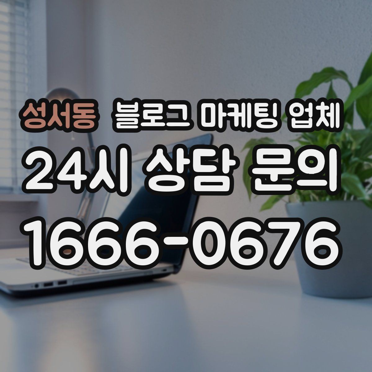 성서동 블로그 마케팅 업체 선택 기준을 실무자 관점에서 정리