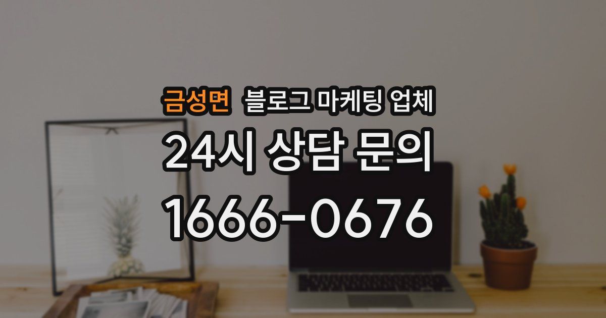 금성면 블로그 마케팅 업체