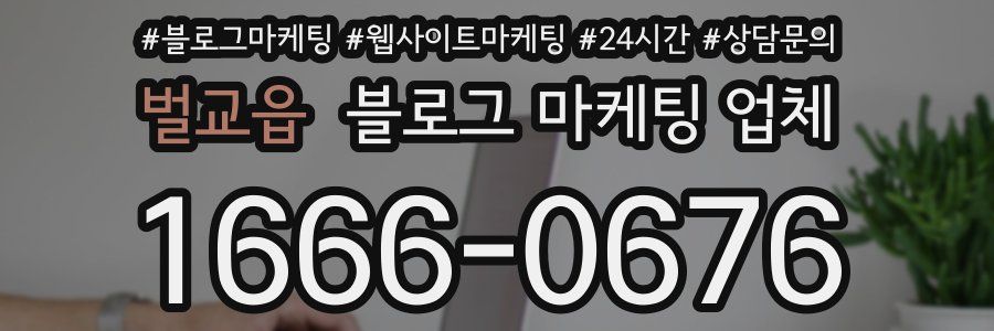 벌교읍 블로그 마케팅 업체