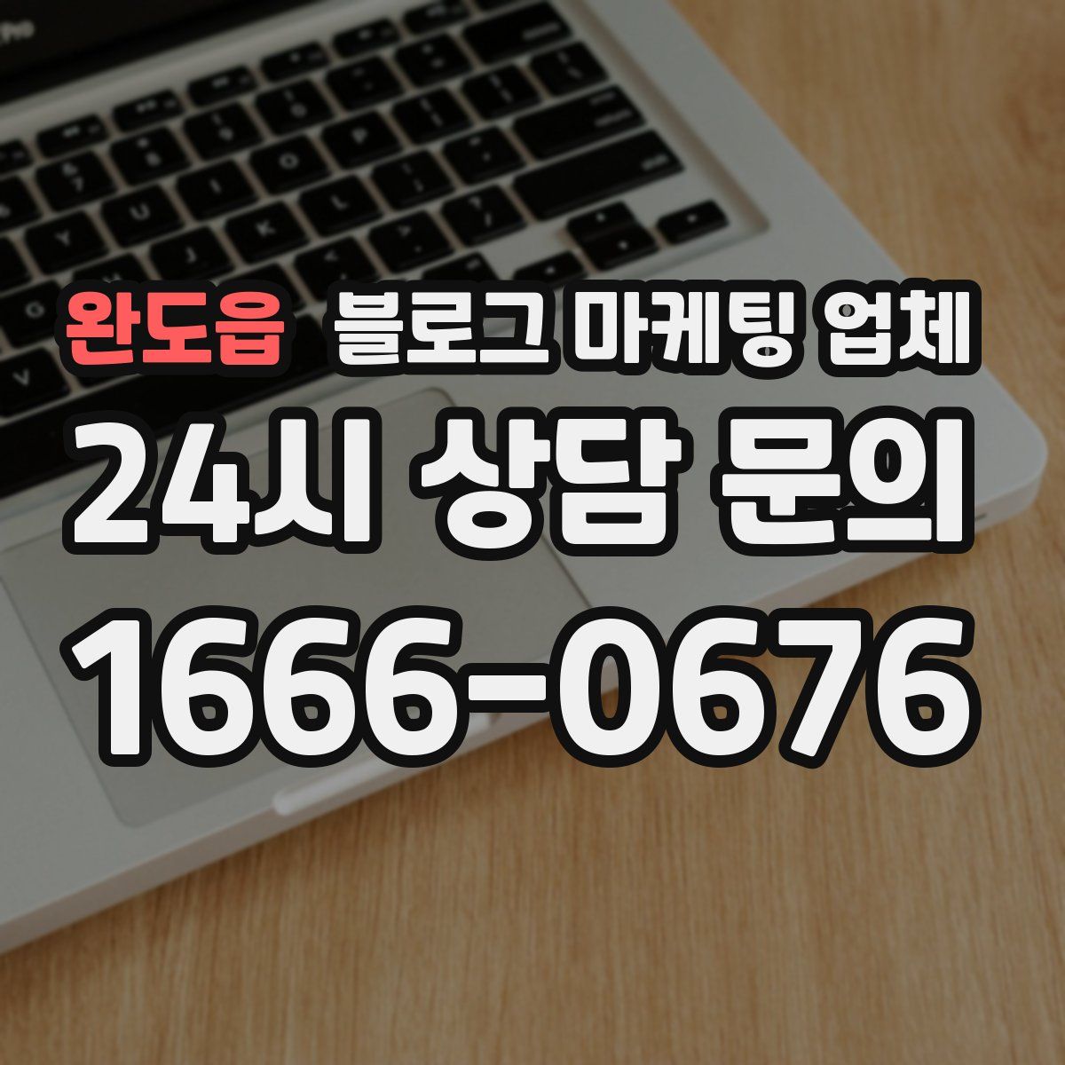 완도읍 블로그 마케팅 업체