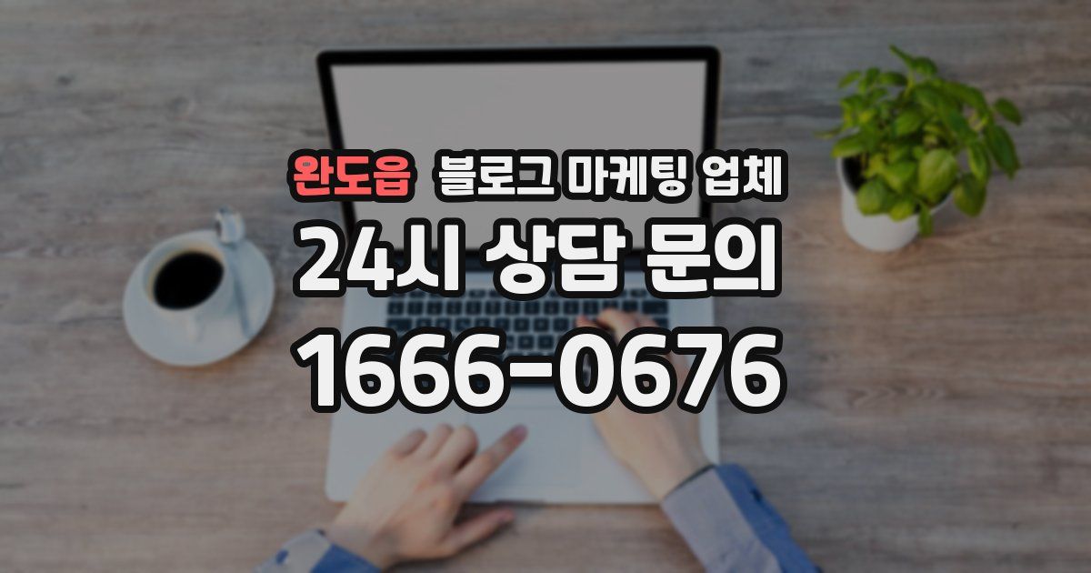 완도읍 블로그 마케팅 업체