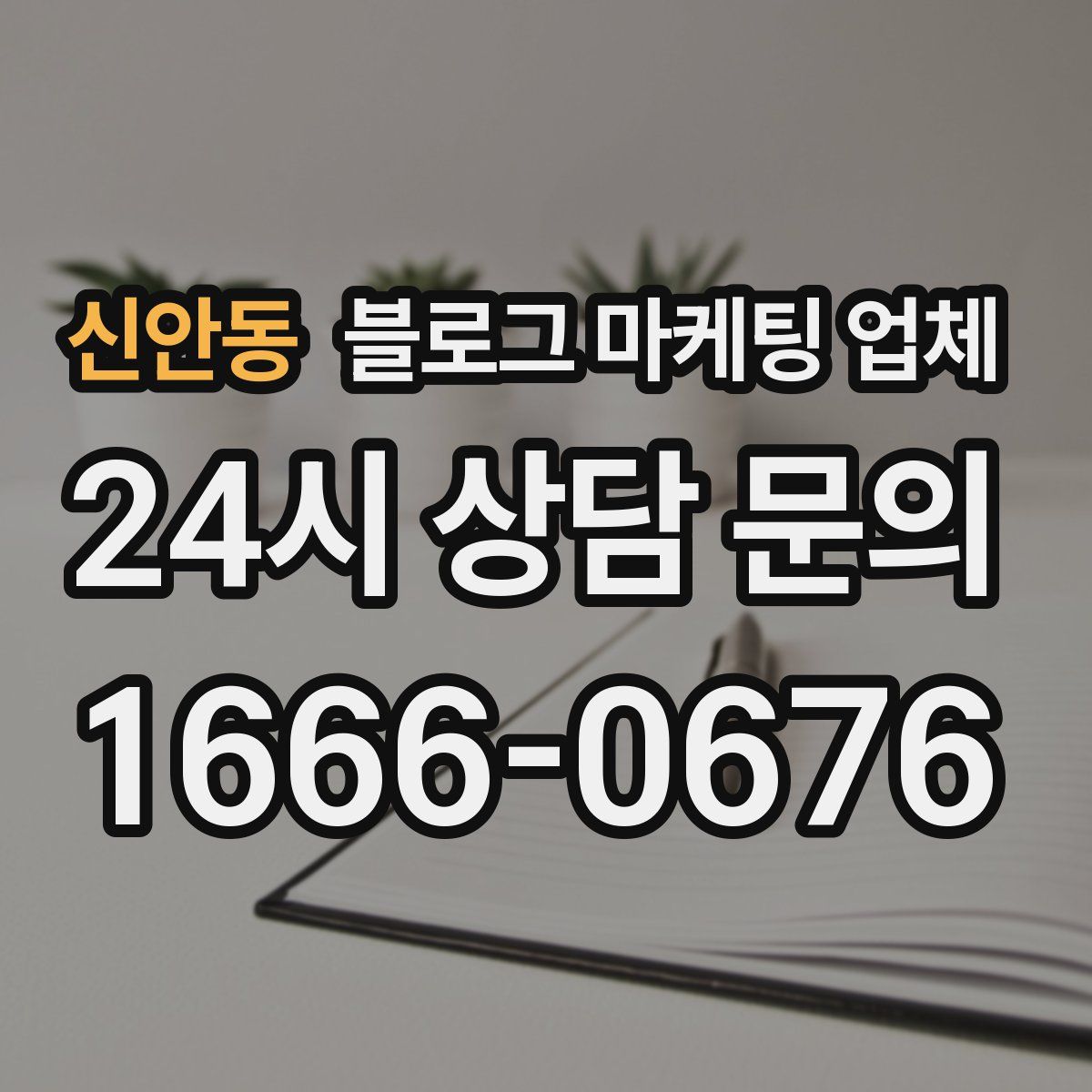 신안동 블로그 마케팅 업체