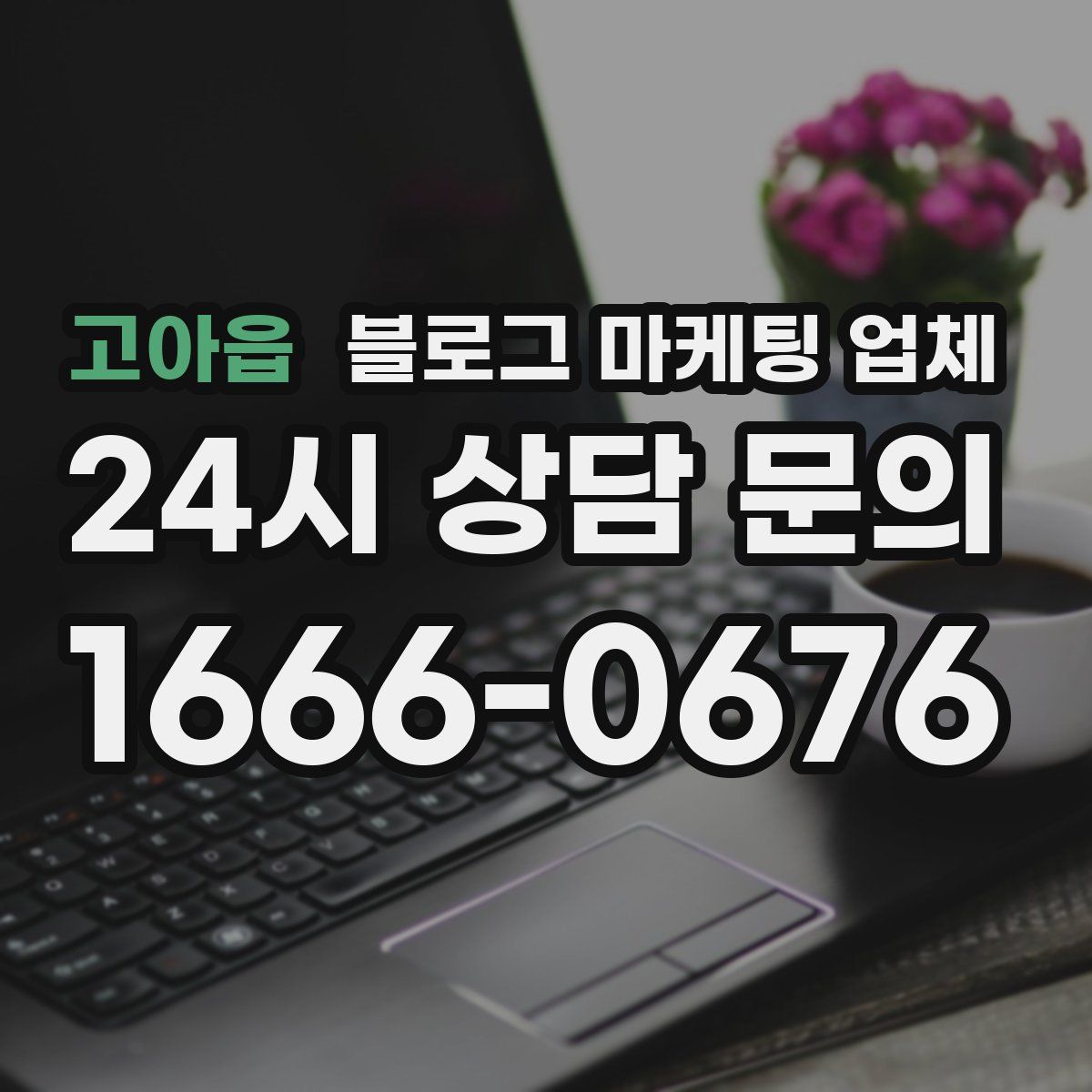 고아읍 블로그 마케팅 업체