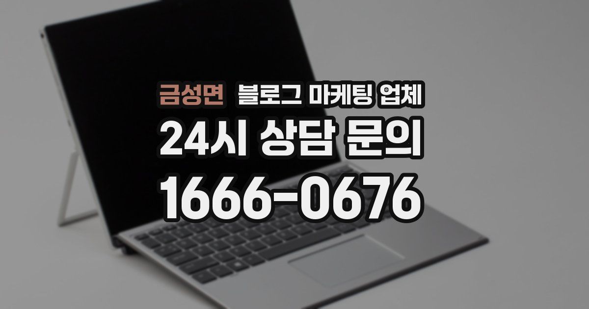 금성면 블로그 마케팅 업체
