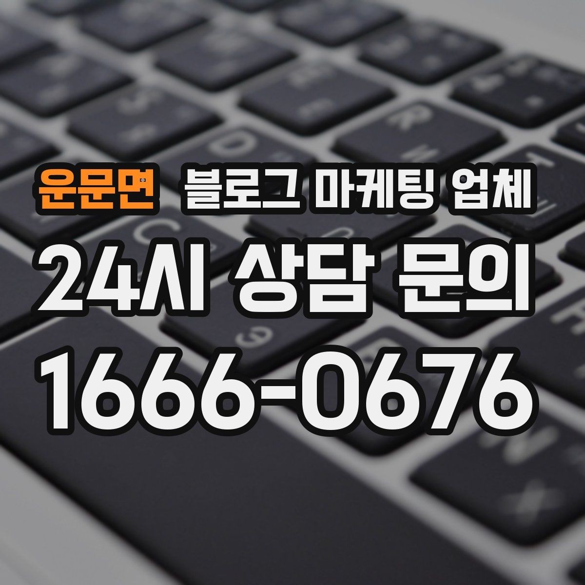 운문면 블로그 마케팅 업체 비교 시 포트폴리오 보는 법