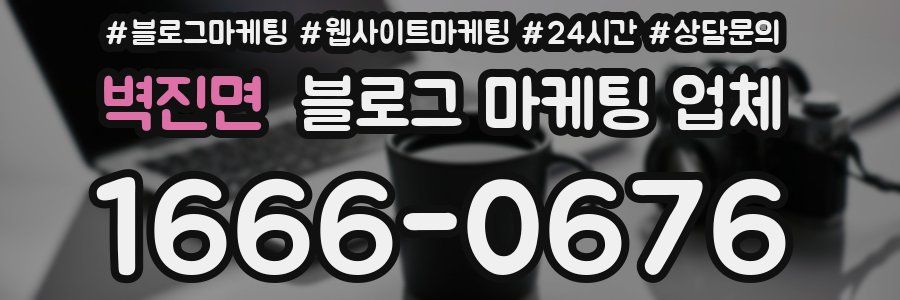 벽진면 블로그 마케팅 업체