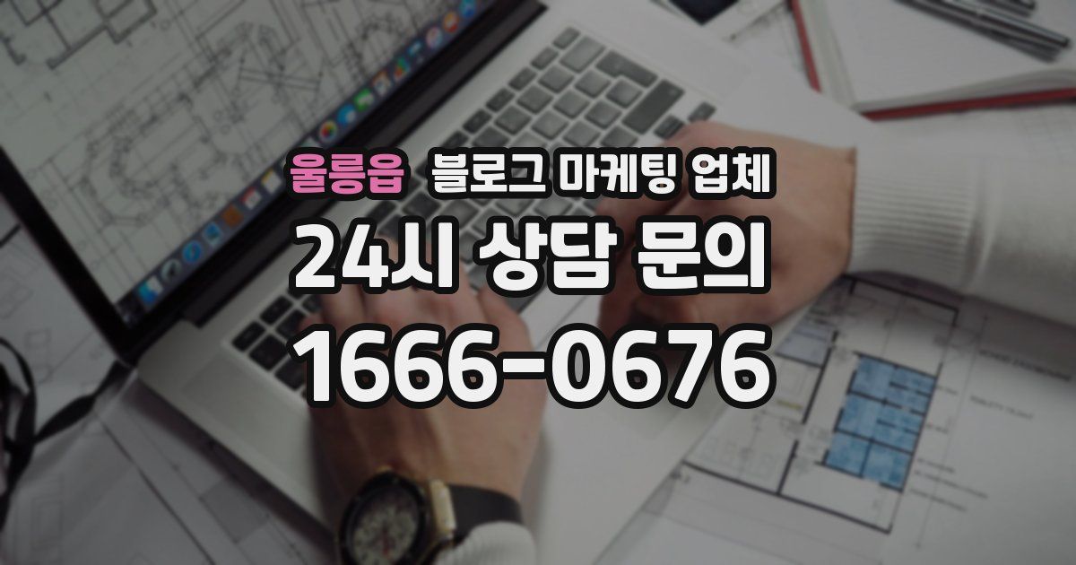 울릉읍 블로그 마케팅 업체