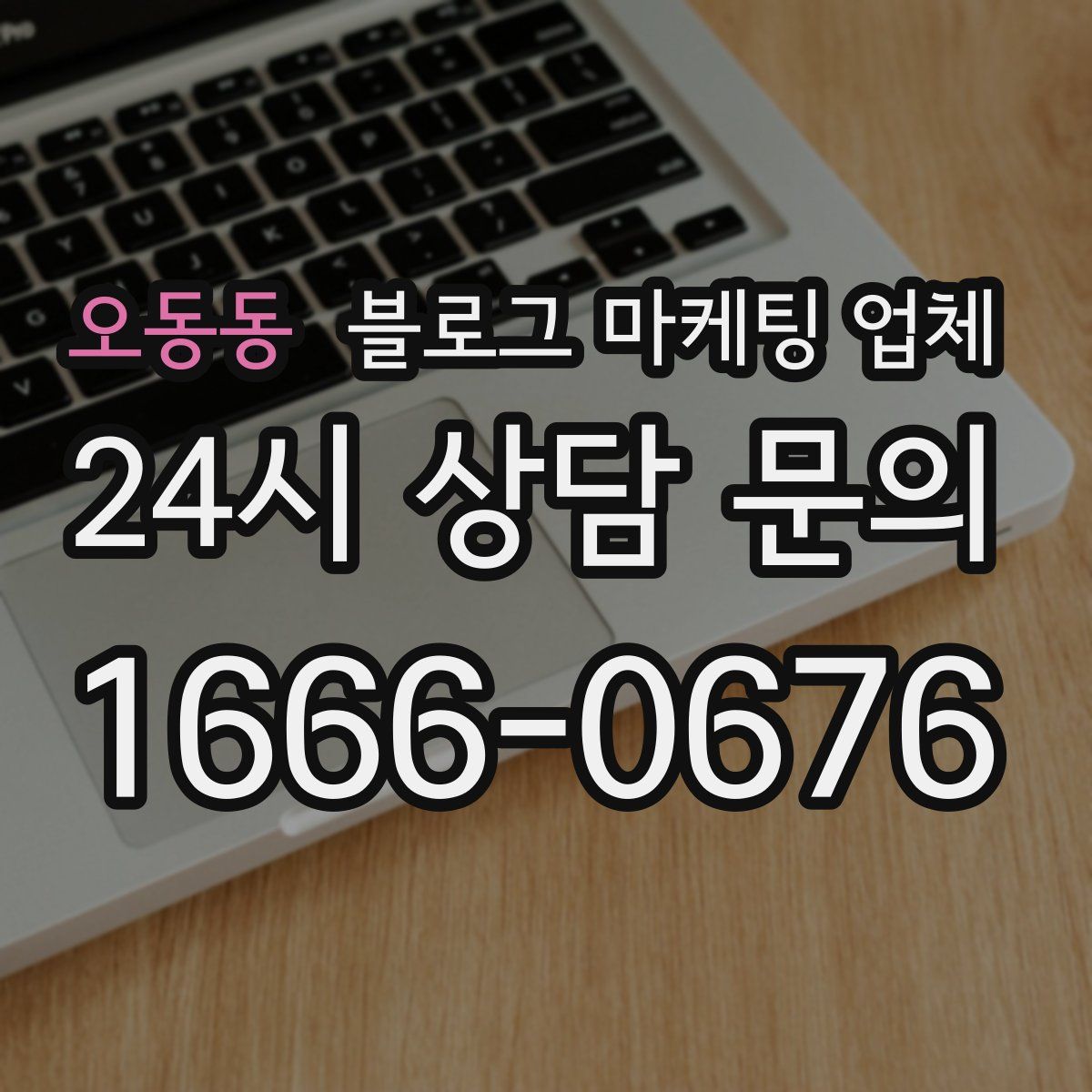 오동동 블로그 마케팅 업체