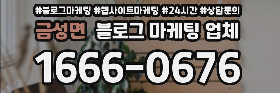 금성면 블로그 마케팅 업체