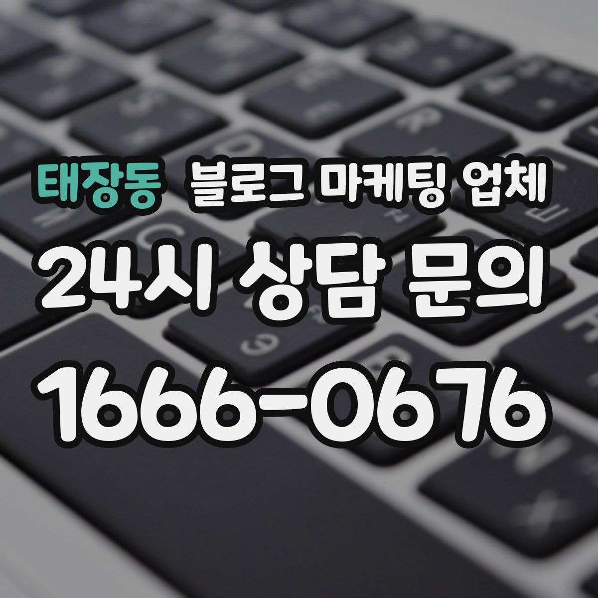 태장동 블로그 마케팅 업체 진행 사례로 보는 선택 팁