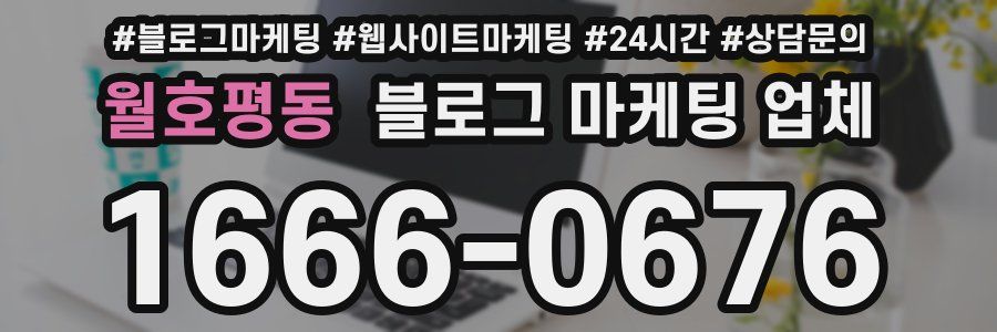 월호평동 블로그 마케팅 업체