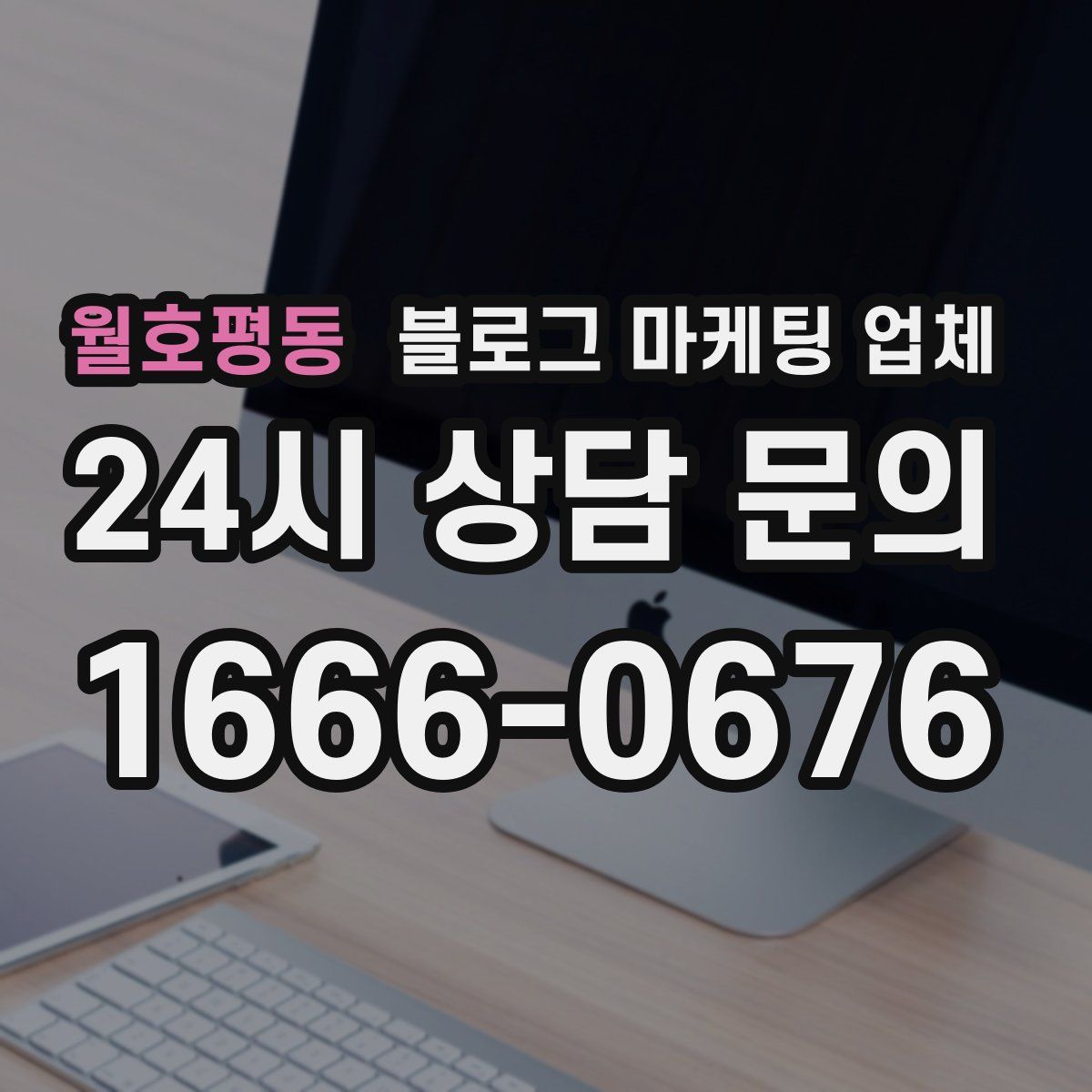 월호평동 블로그 마케팅 업체