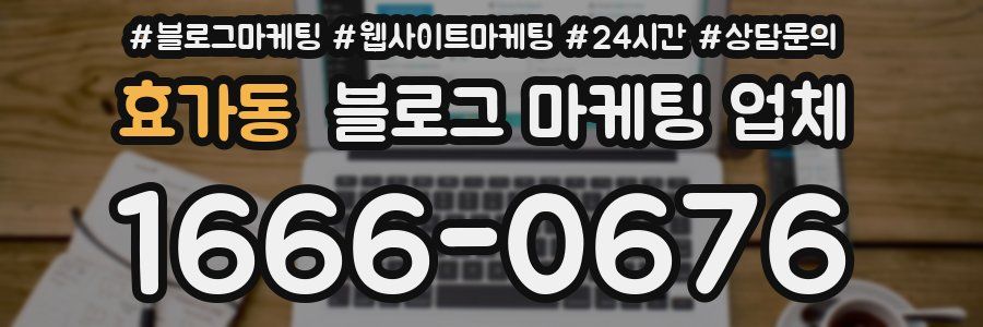 효가동 블로그 마케팅 업체