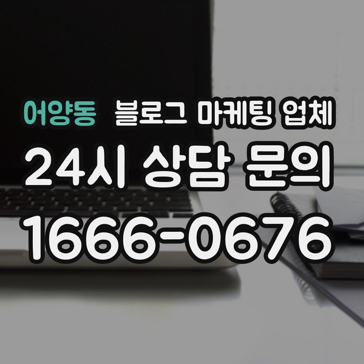 어양동 블로그 마케팅 업체 비교할 때 보는 핵심 포인트