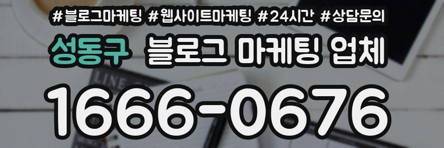 성동구 블로그 마케팅 업체