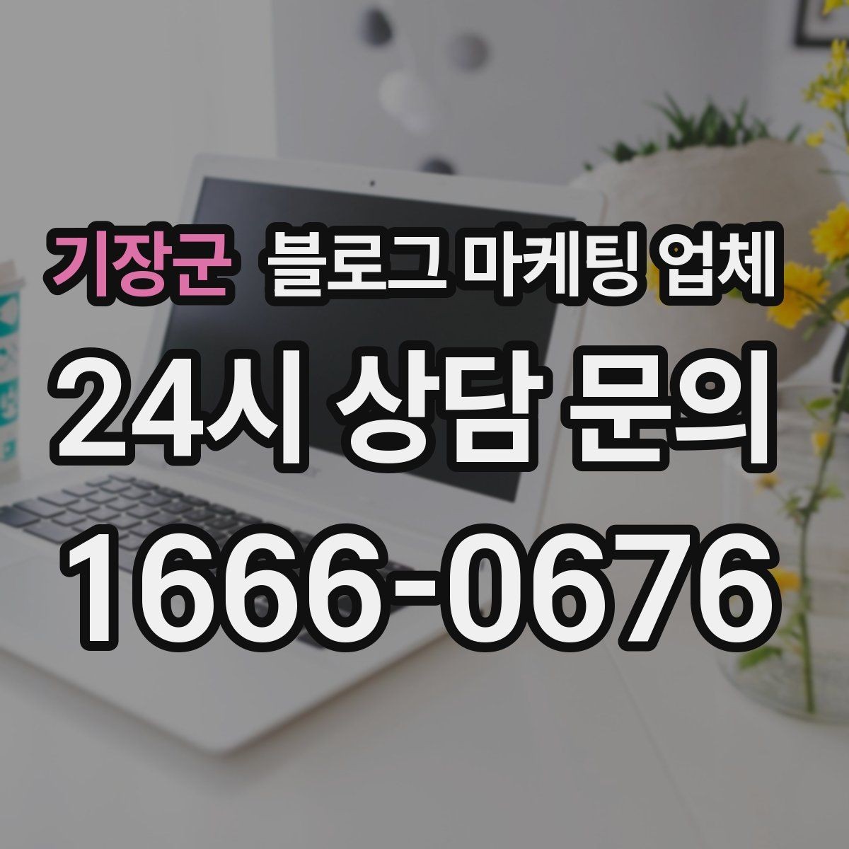 기장군 블로그 마케팅 업체 진행 전 확인할 일정과 범위