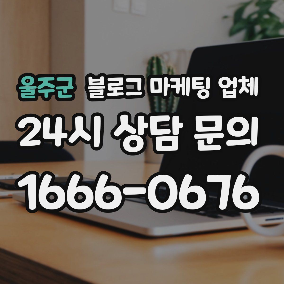 울주군 블로그 마케팅 업체 비교로 보는 운영 효율 차이