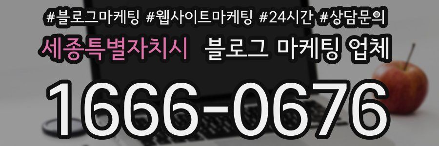 세종특별자치시 블로그 마케팅 업체
