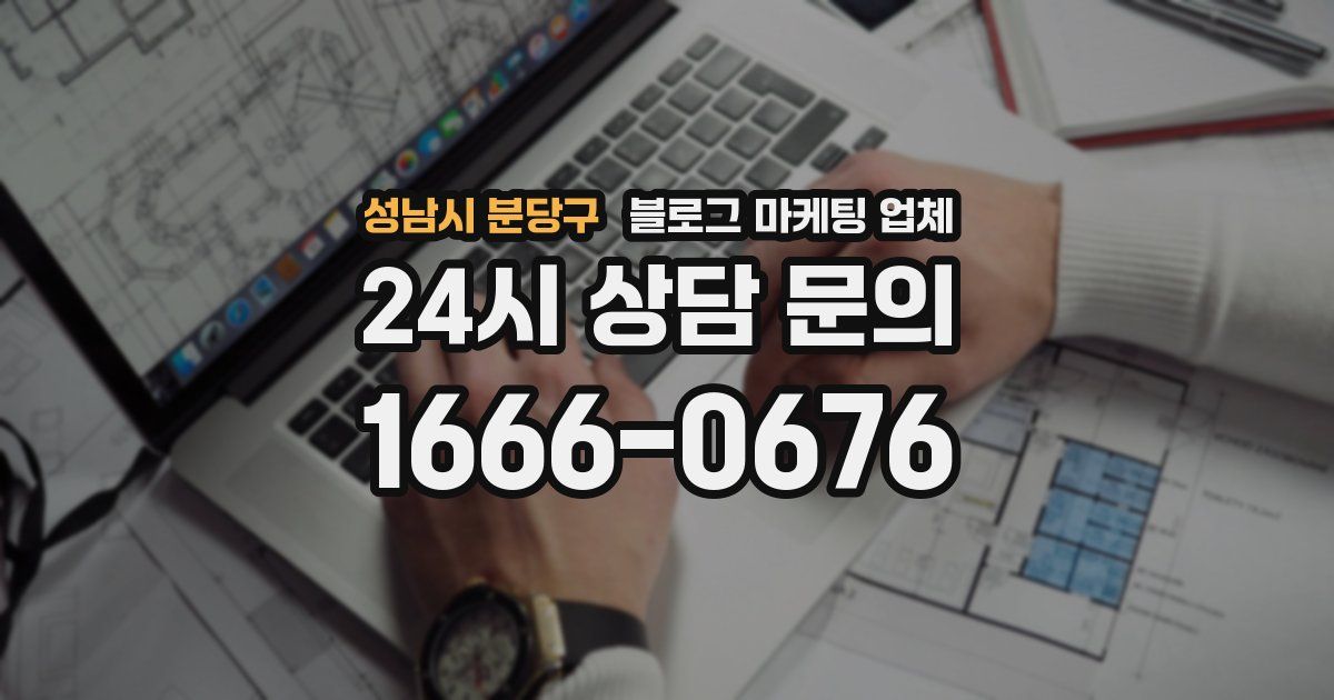 성남시 분당구 블로그 마케팅 업체