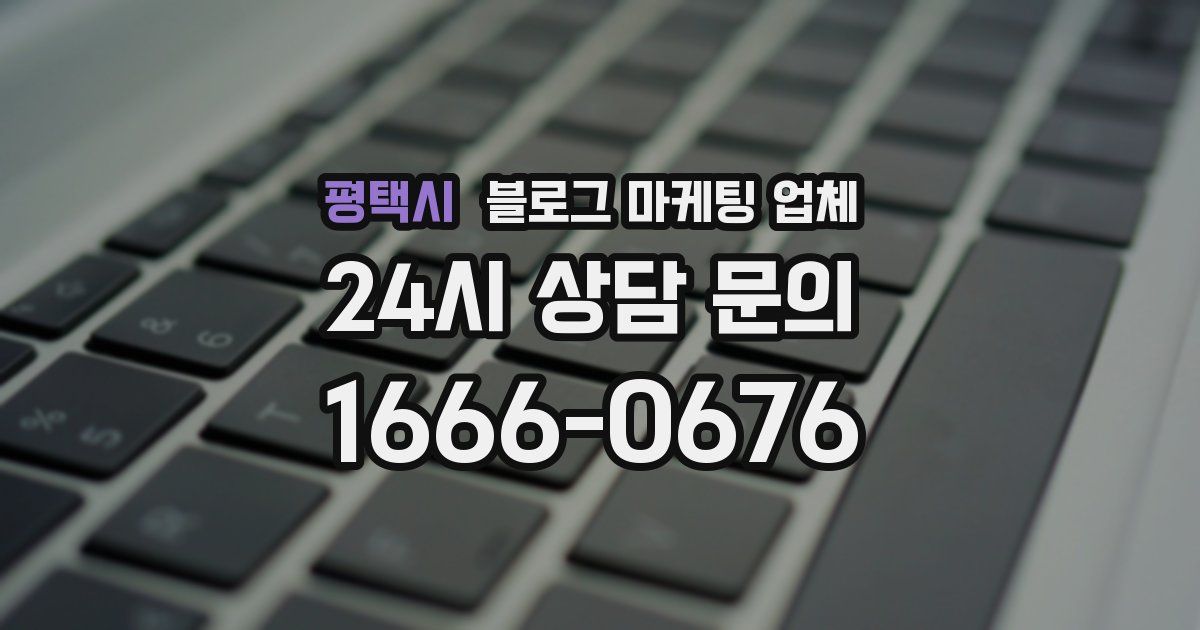 평택시 블로그 마케팅 업체