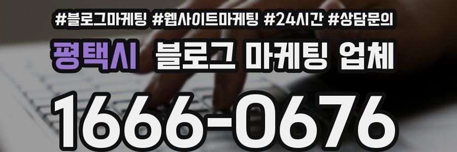 평택시 블로그 마케팅 업체