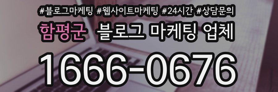 함평군 블로그 마케팅 업체