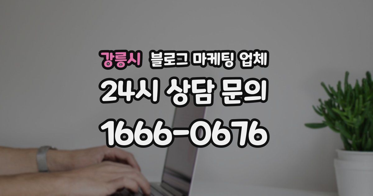 강릉시 블로그 마케팅 업체