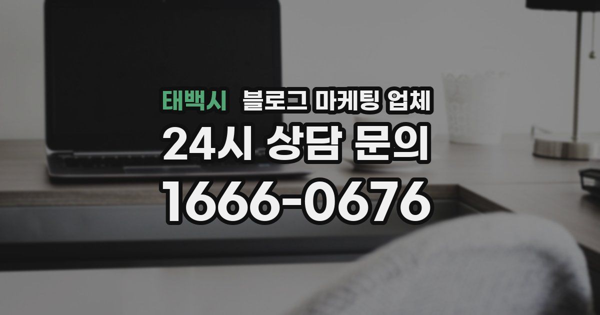 태백시 블로그 마케팅 업체
