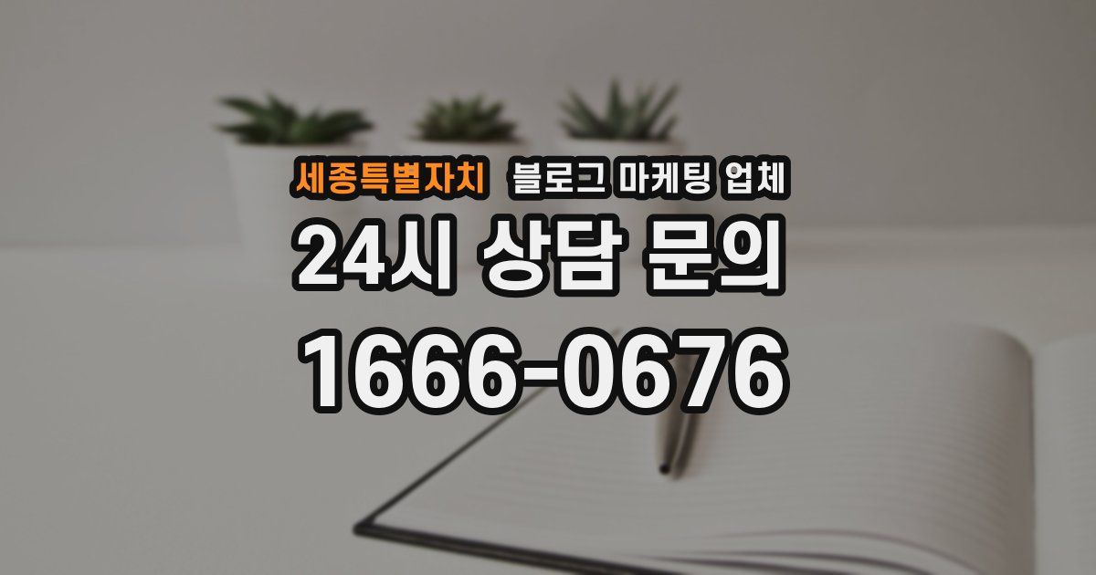 세종특별자치 블로그 마케팅 업체