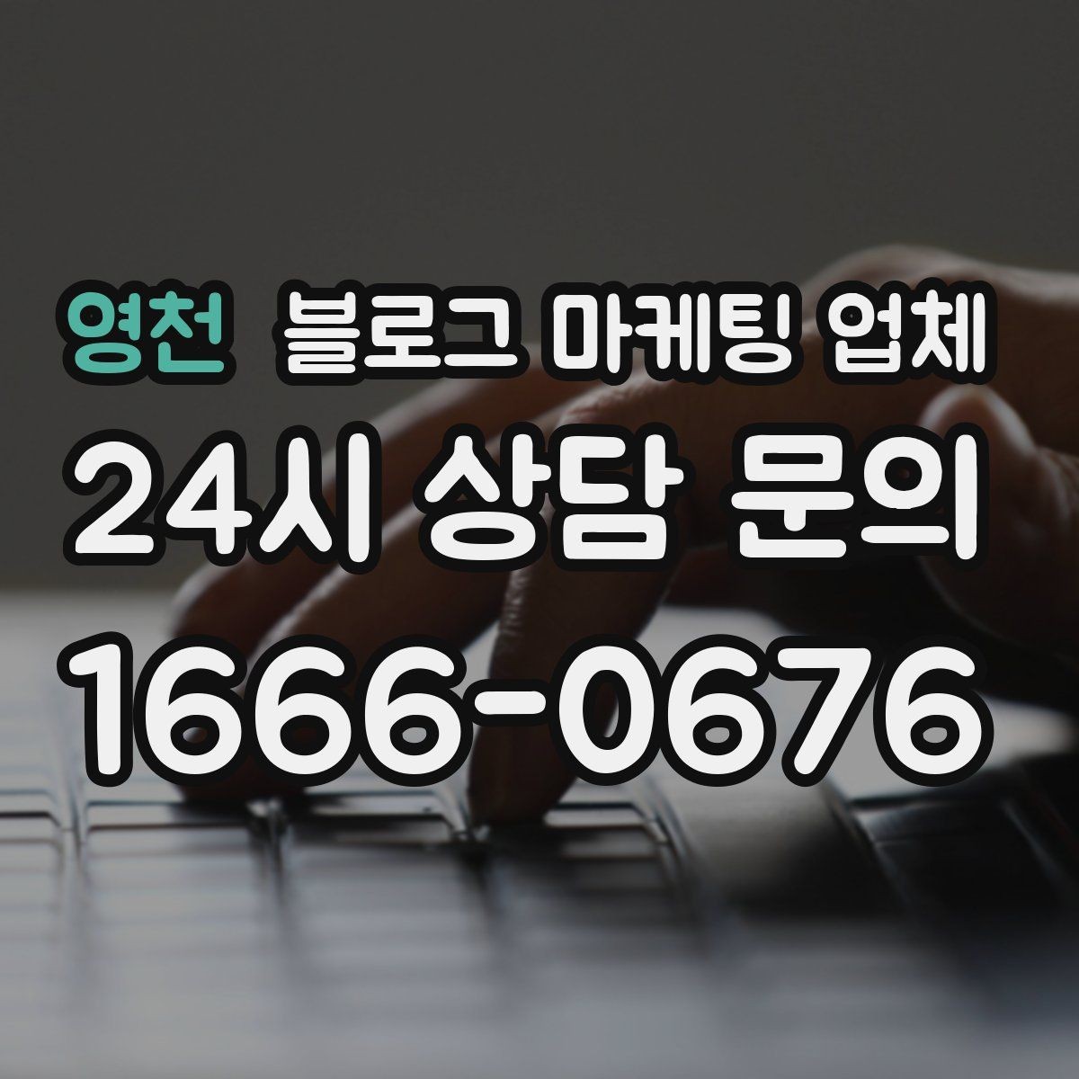 영천 블로그 마케팅 업체 비교 시 포트폴리오 보는 법