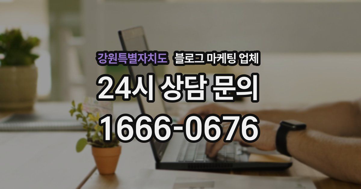 강원특별자치도 블로그 마케팅 업체