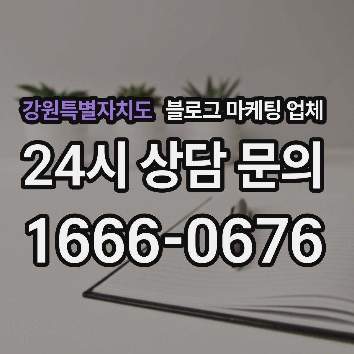 강원특별자치도 블로그 마케팅 업체