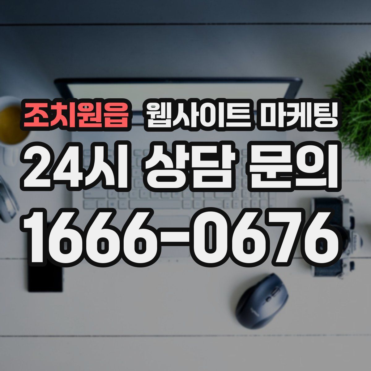 조치원읍 웹사이트 마케팅