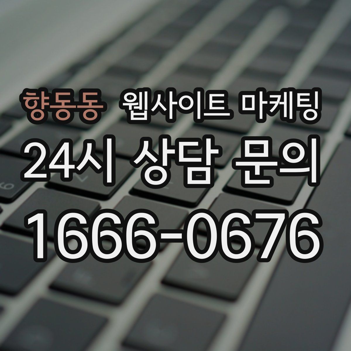 향동동 웹사이트 마케팅