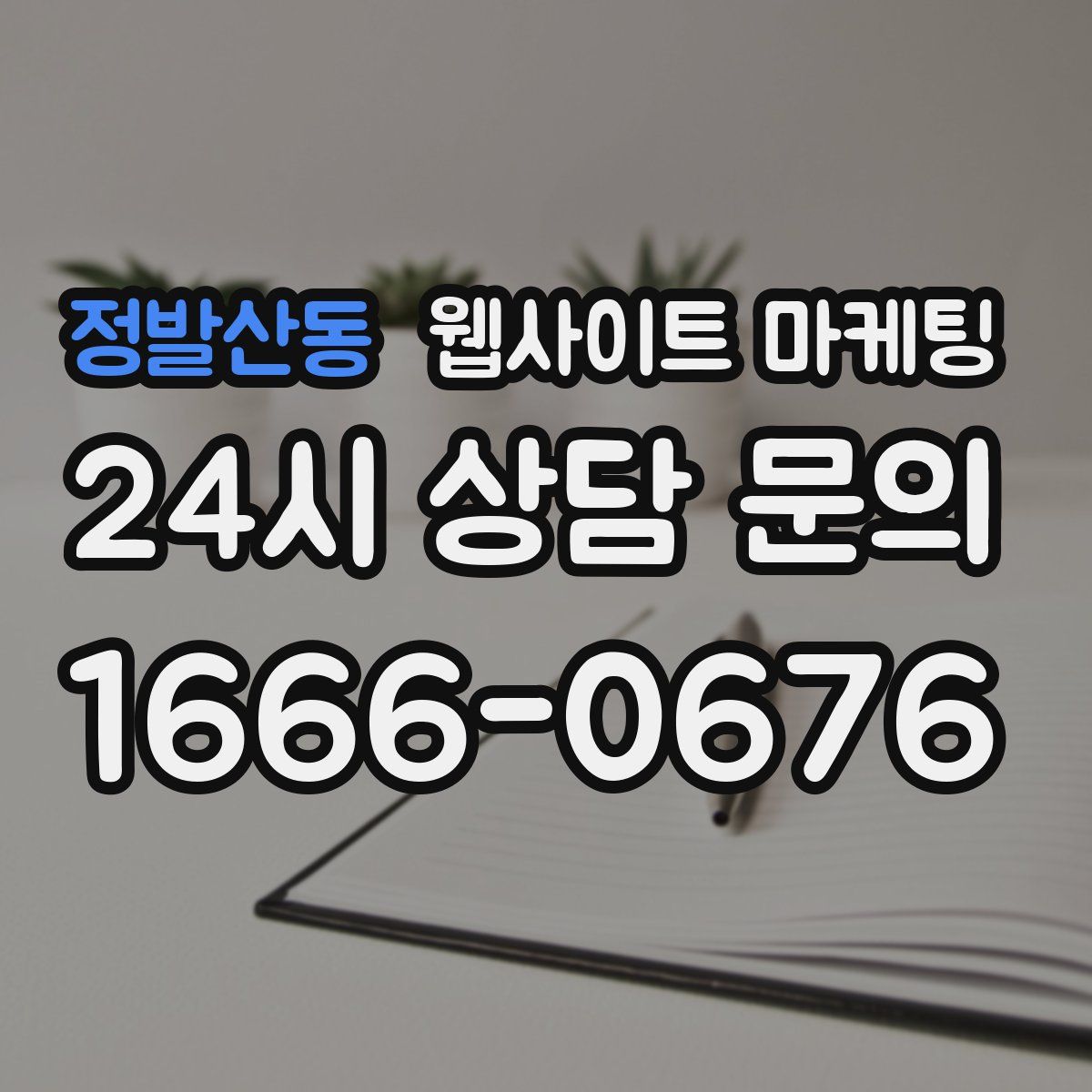 정발산동 웹사이트 마케팅