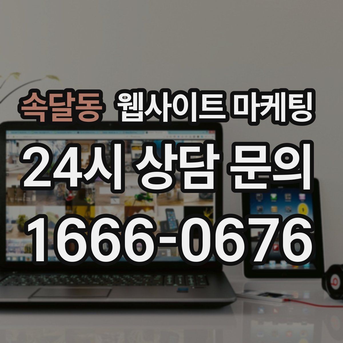 속달동 웹사이트 마케팅 월간 운영 리포트가 투명한 업체를 고르는 기준