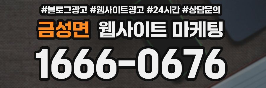 금성면 웹사이트 마케팅