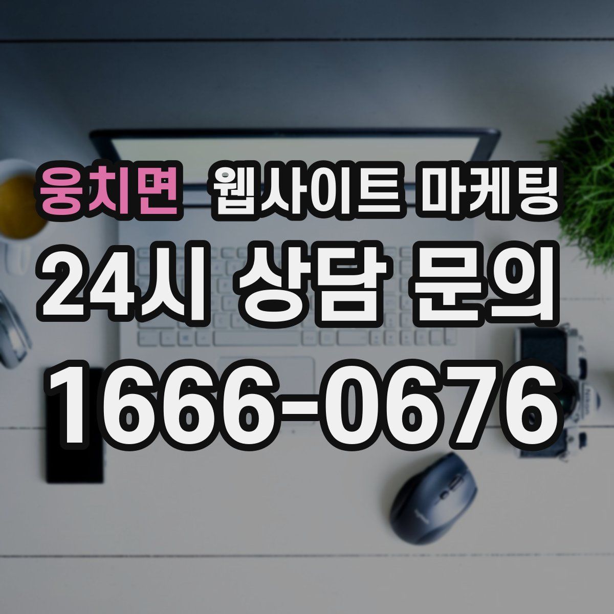 웅치면 웹사이트 마케팅
