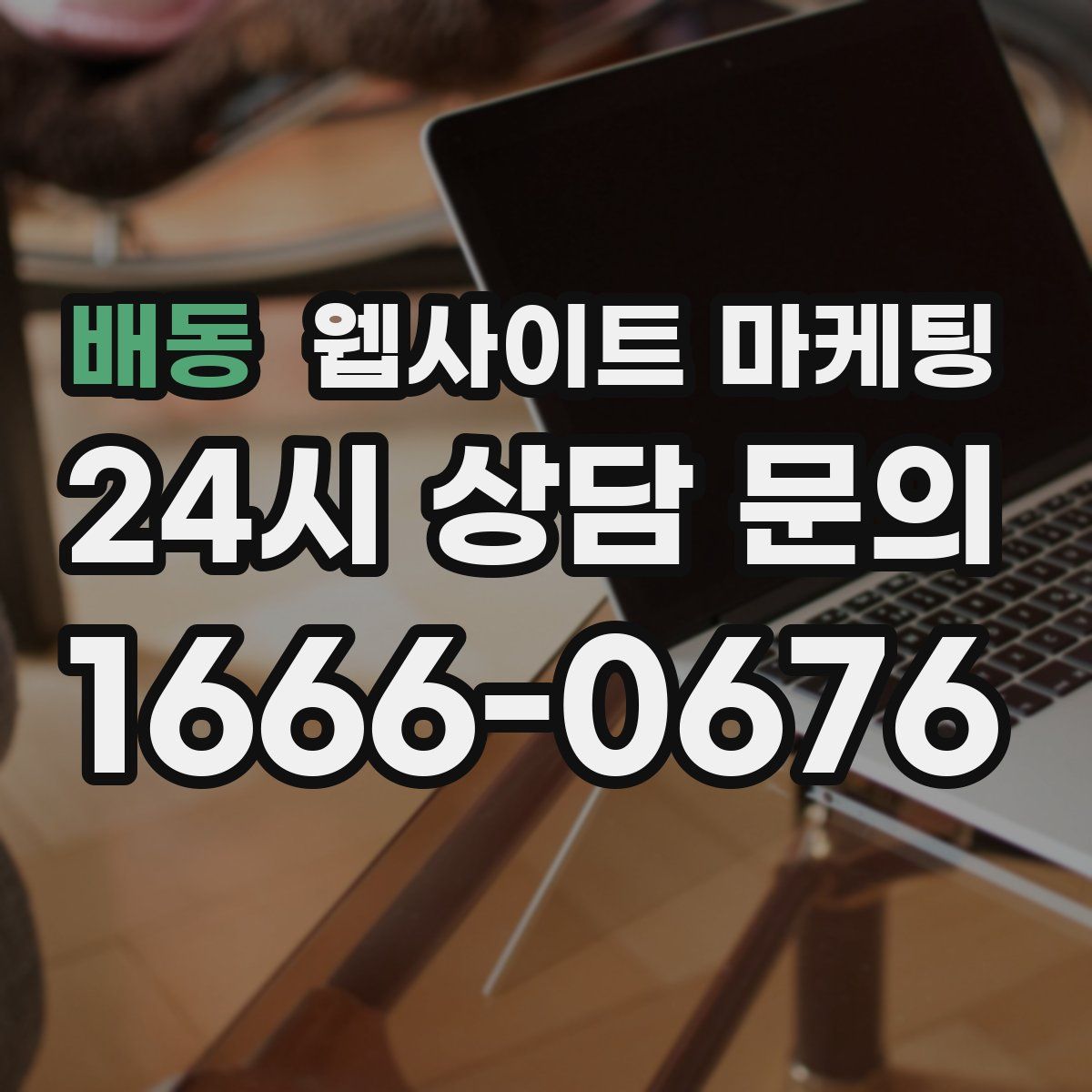 배동 웹사이트 마케팅