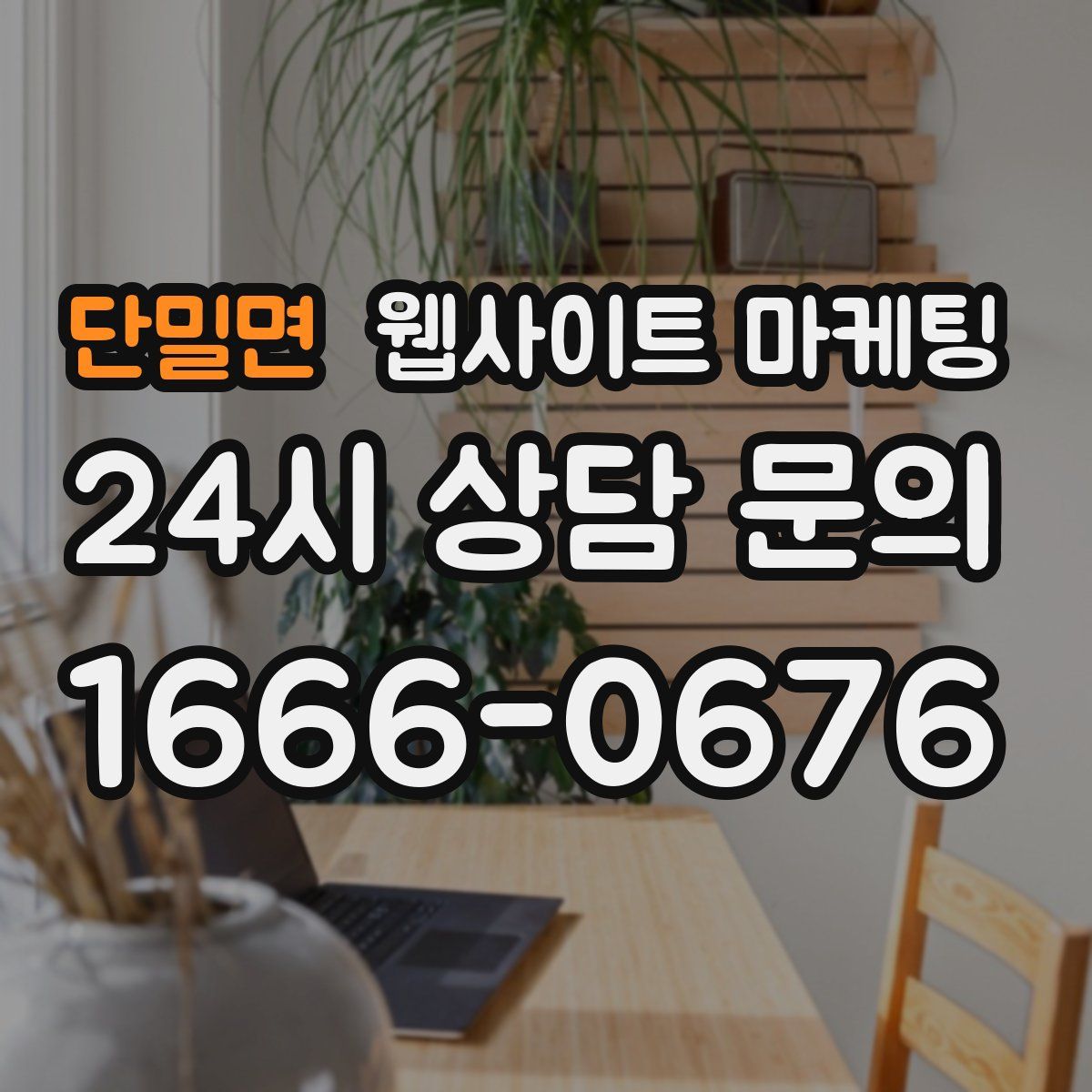 단밀면 웹사이트 마케팅