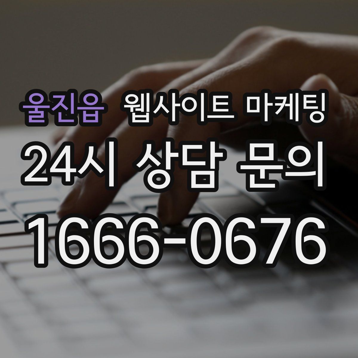 울진읍 웹사이트 마케팅