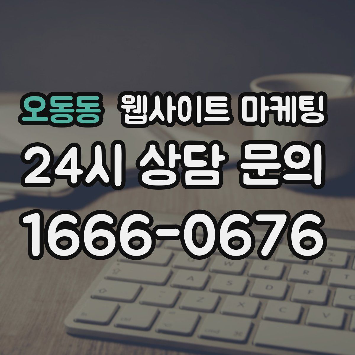 오동동 웹사이트 마케팅
