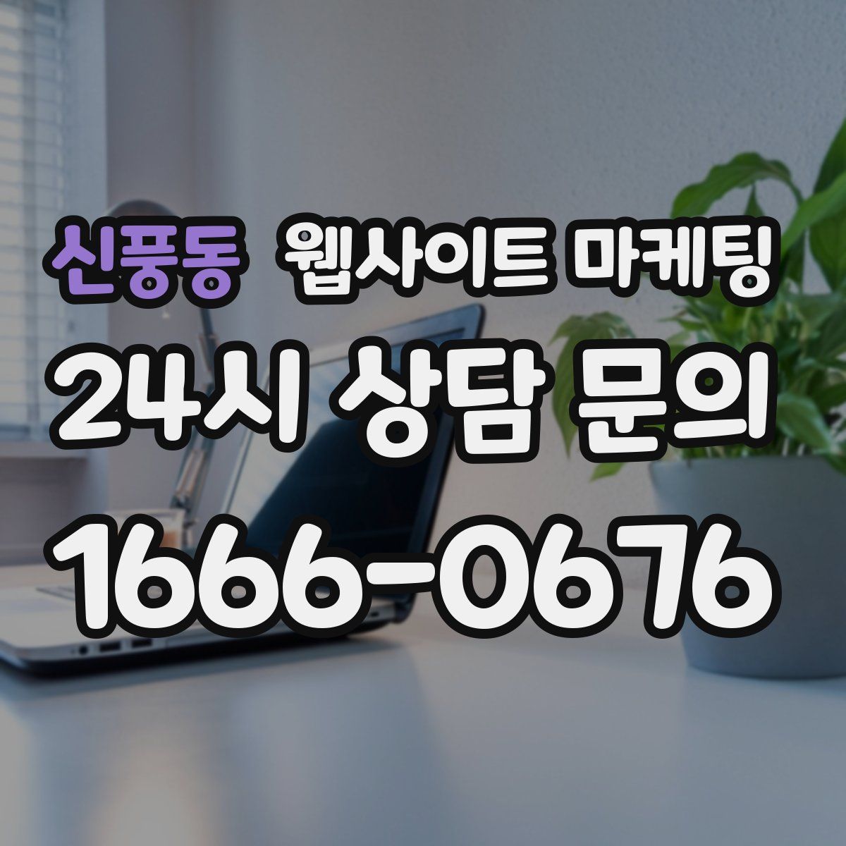 신풍동 웹사이트 마케팅